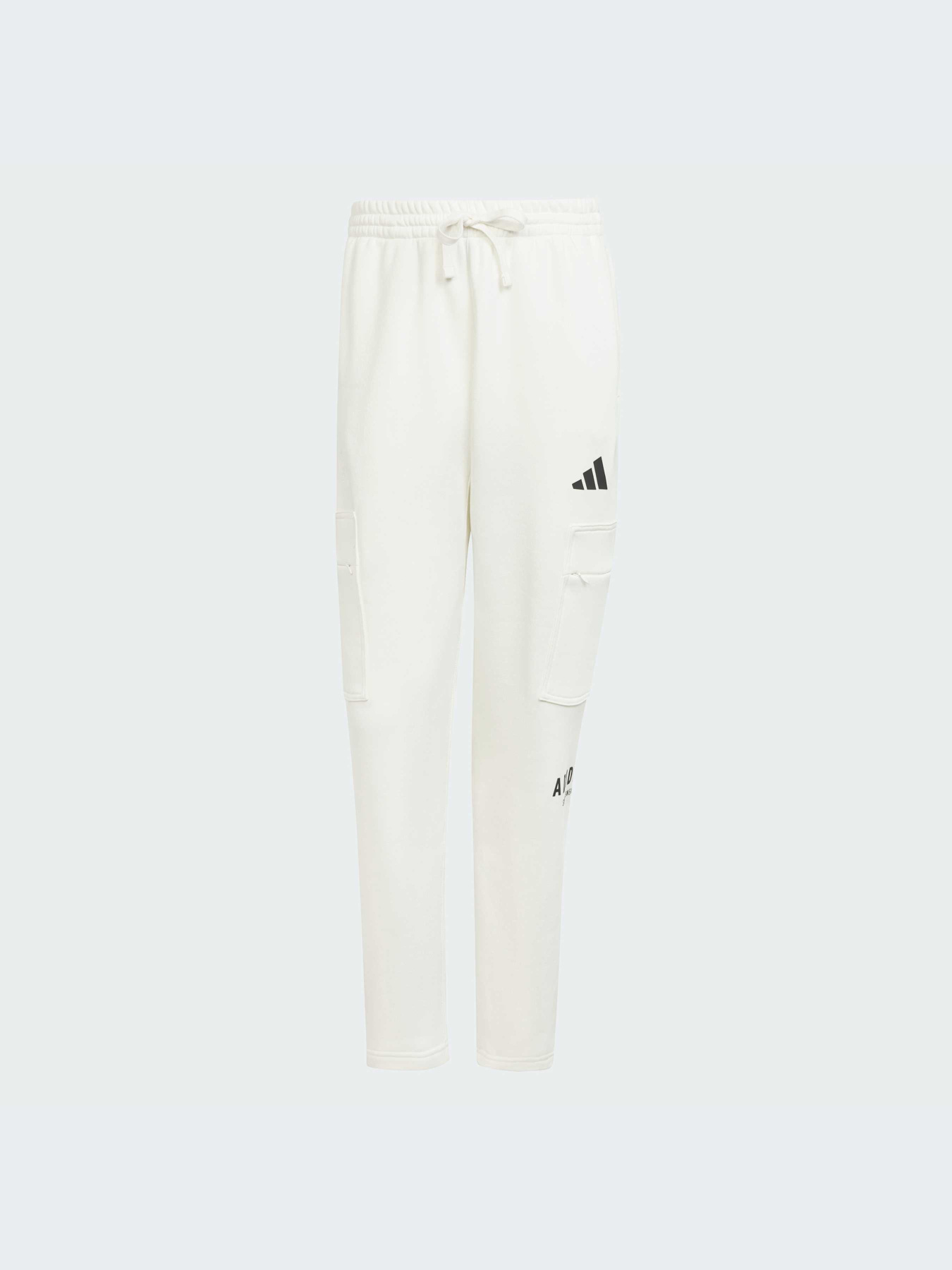 Брюки Adidas модель JJ3664-KZ Фото