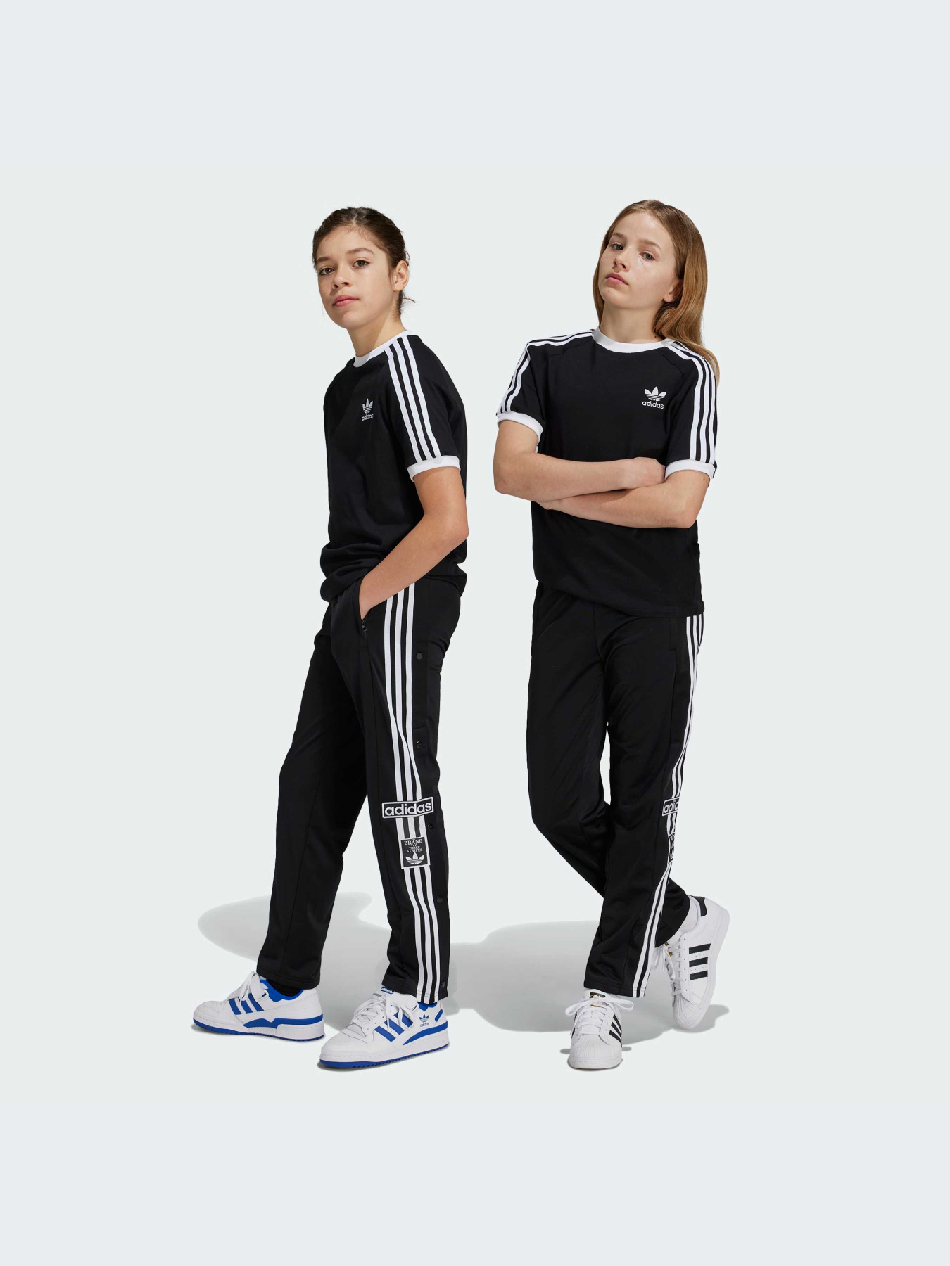 Брюки Adidas Adicolor модель IY9773-KZ Фото