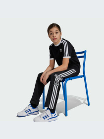 Брюки Adidas Adicolor модель IY9773-KZ Фото