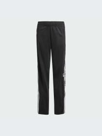 Брюки Adidas Adicolor модель IY9773-KZ Фото