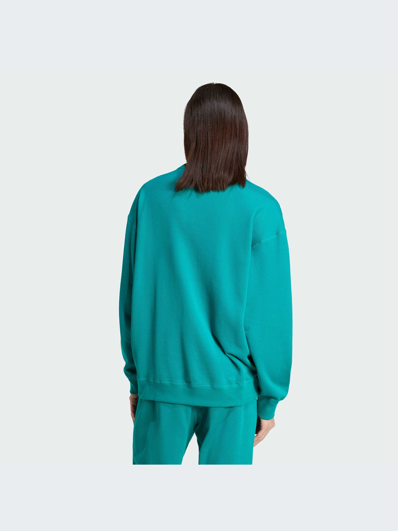Худи и свитшоты Adidas модель JN7146-KZ Фото