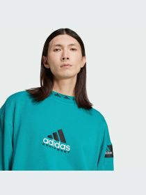 Худи и свитшоты Adidas модель JN7146-KZ Фото