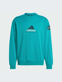 Худи и свитшоты Adidas модель JN7146-KZ Фото