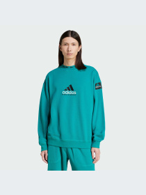 Худи и свитшоты Adidas модель JN7146-KZ Фото