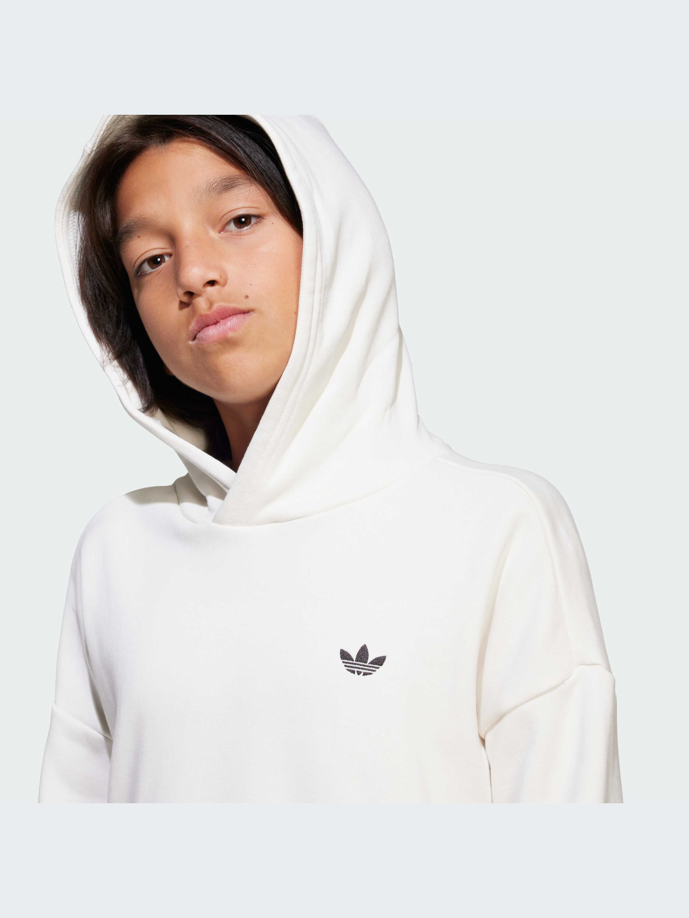 Худи и свитшоты Adidas модель JD3099-KZ Фото