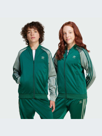 Худи и свитшоты Adidas Adicolor модель JD1611-KZ Фото