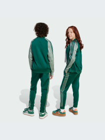 Брюки Adidas Adicolor модель JD1616-KZ Фото