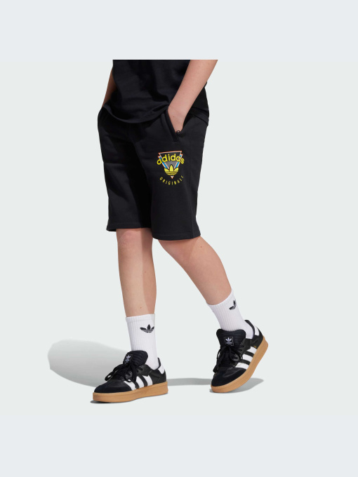 Шорты Adidas Graphics модель JC5866-KZ Фото