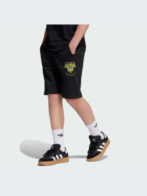Шорты Adidas Graphics модель JC5866-KZ Фото