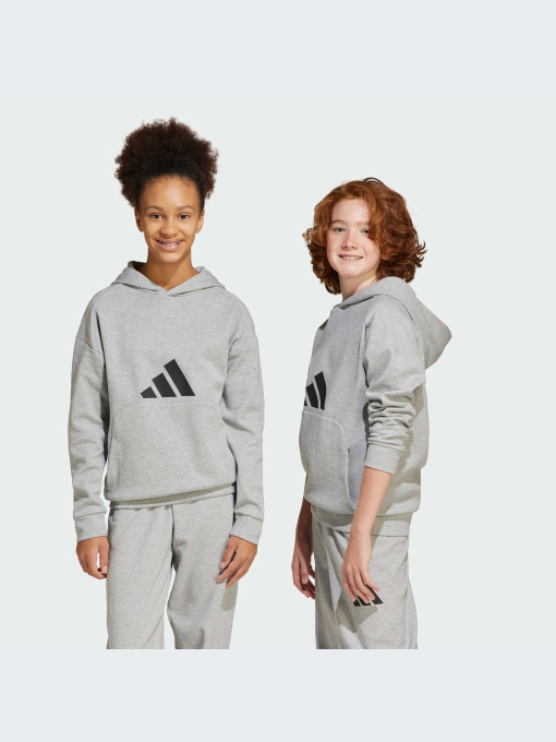 Худи и свитшоты Adidas Icons модель JJ4788-KZ Фото
