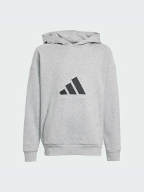 Худи и свитшоты Adidas Icons модель JJ4788-KZ Фото