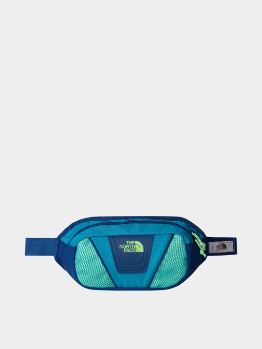 Сумки The North Face модель NF0A87GEBDI1 Фото