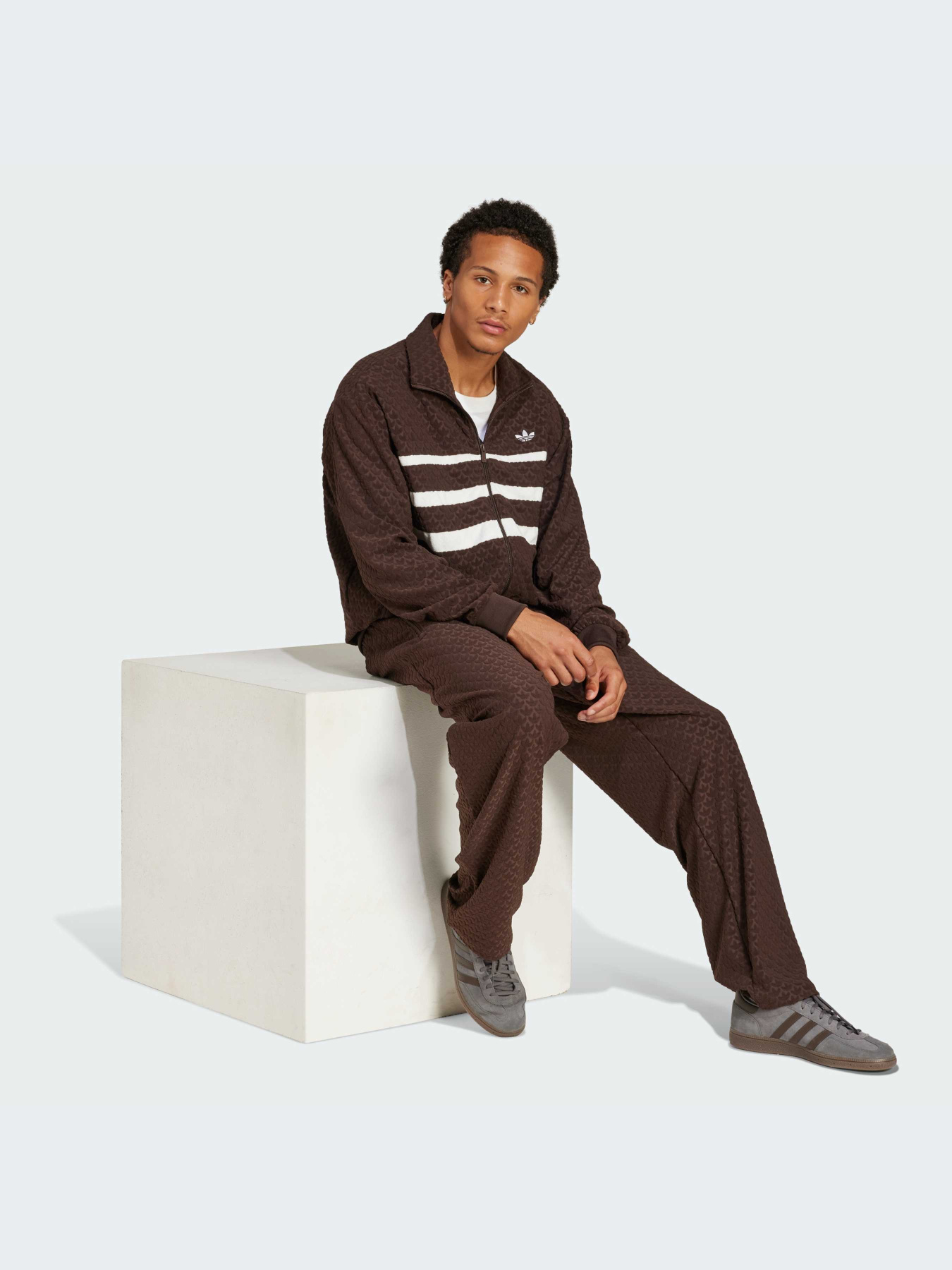 Брюки Adidas Graphics модель JP4428-KZ Фото
