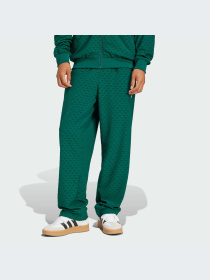 Брюки Adidas Graphics модель JD0699-KZ Фото