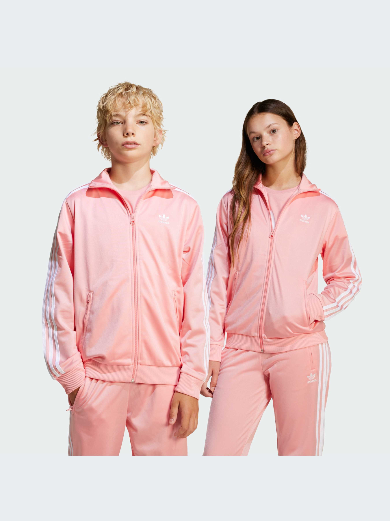 Худи и свитшоты Adidas Adicolor модель JD1622-KZ Фото