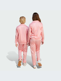 Брюки Adidas Adicolor модель JD1634-KZ Фото