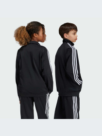 Худи и свитшоты Adidas Adicolor модель IY9800-KZ Фото