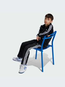 Худи и свитшоты Adidas Adicolor модель IY9800-KZ Фото