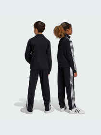 Брюки Adidas Adicolor модель IY9805-KZ Фото