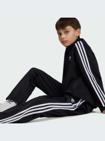 Брюки Adidas Adicolor модель IY9805-KZ Фото