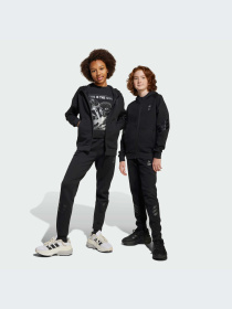 Брюки Adidas модель JF3635-KZ Фото