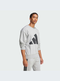 Худи и свитшоты Adidas модель JE8952-KZ Фото