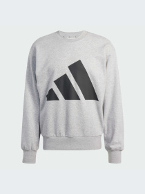 Худи и свитшоты Adidas модель JE8952-KZ Фото