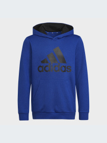Худи и свитшоты Adidas модель HN1912-KZ Фото