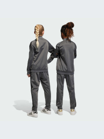 Брюки Adidas модель IJ9712-KZ Фото