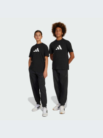 Повседневные штаны Adidas Icons модель JC7566-KZ Фото
