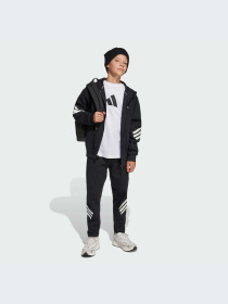 Брюки Adidas модель JJ4808-KZ Фото