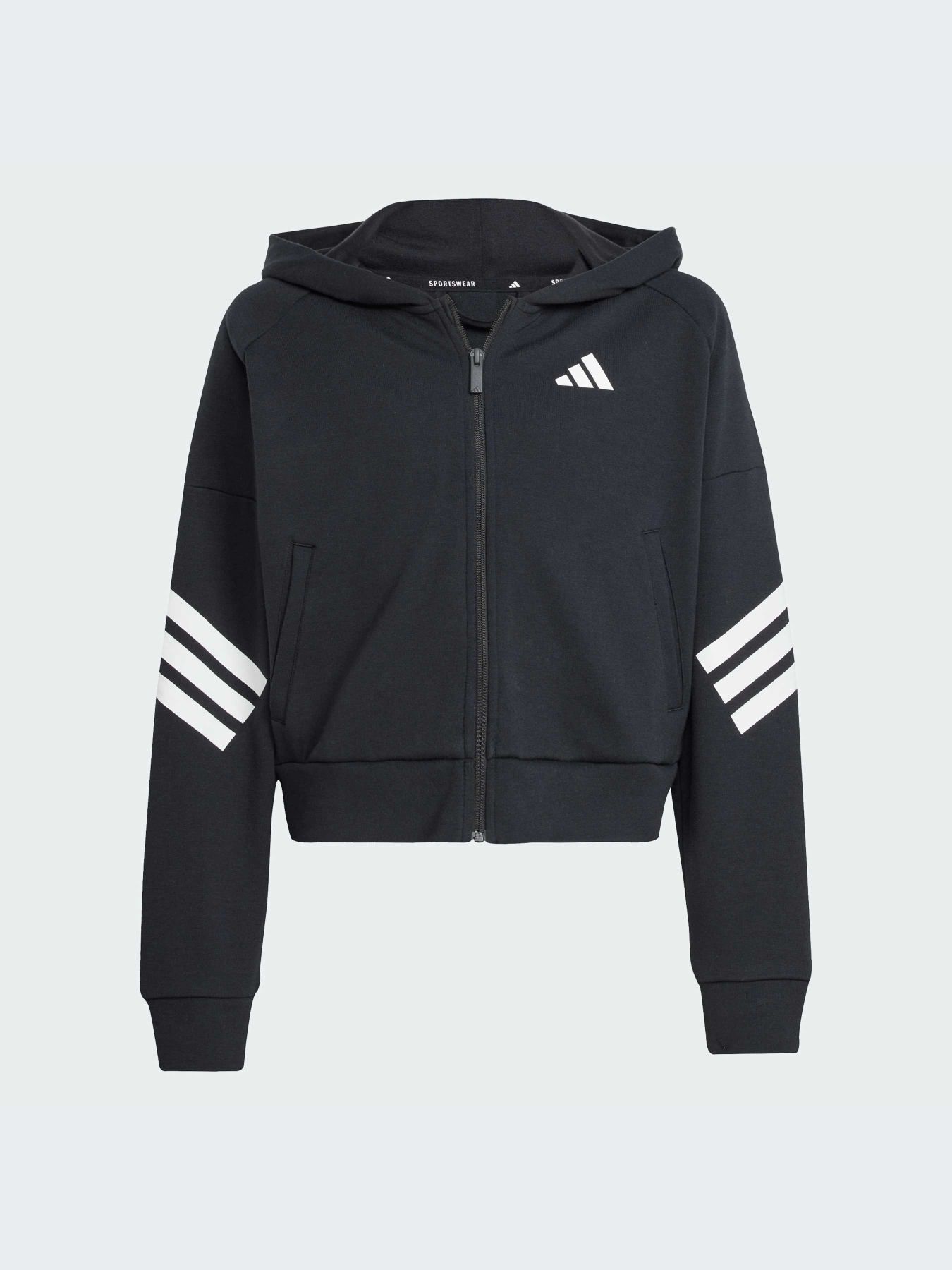 Худи и свитшоты Adidas модель JJ4847-KZ Фото
