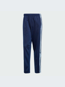 Брюки Adidas Adicolor модель JN8756-KZ Фото