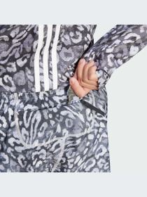 Шорты Adidas модель JC7399-KZ Фото
