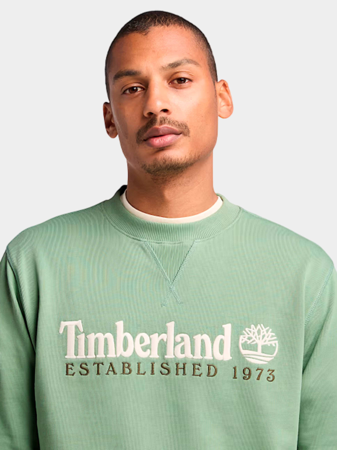 Худи и свитшоты Timberland модель TB0A2FEQEC6 Фото