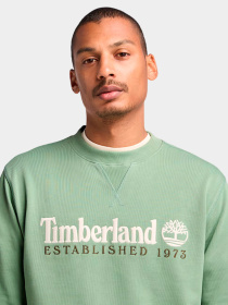 Худи и свитшоты Timberland модель TB0A2FEQEC6 Фото