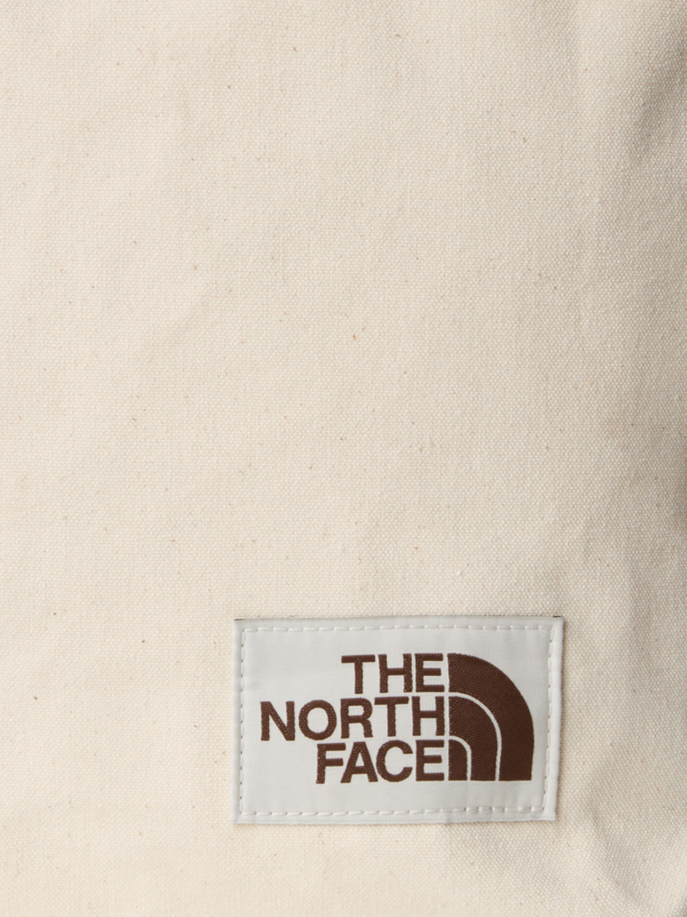 Сумки The North Face модель NF0A3VWQBV01 Фото