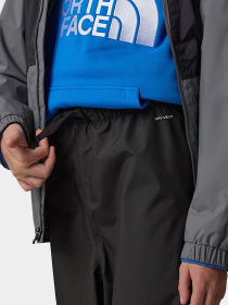 Брюки The North Face модель NF0A7ZZJKX71 Фото