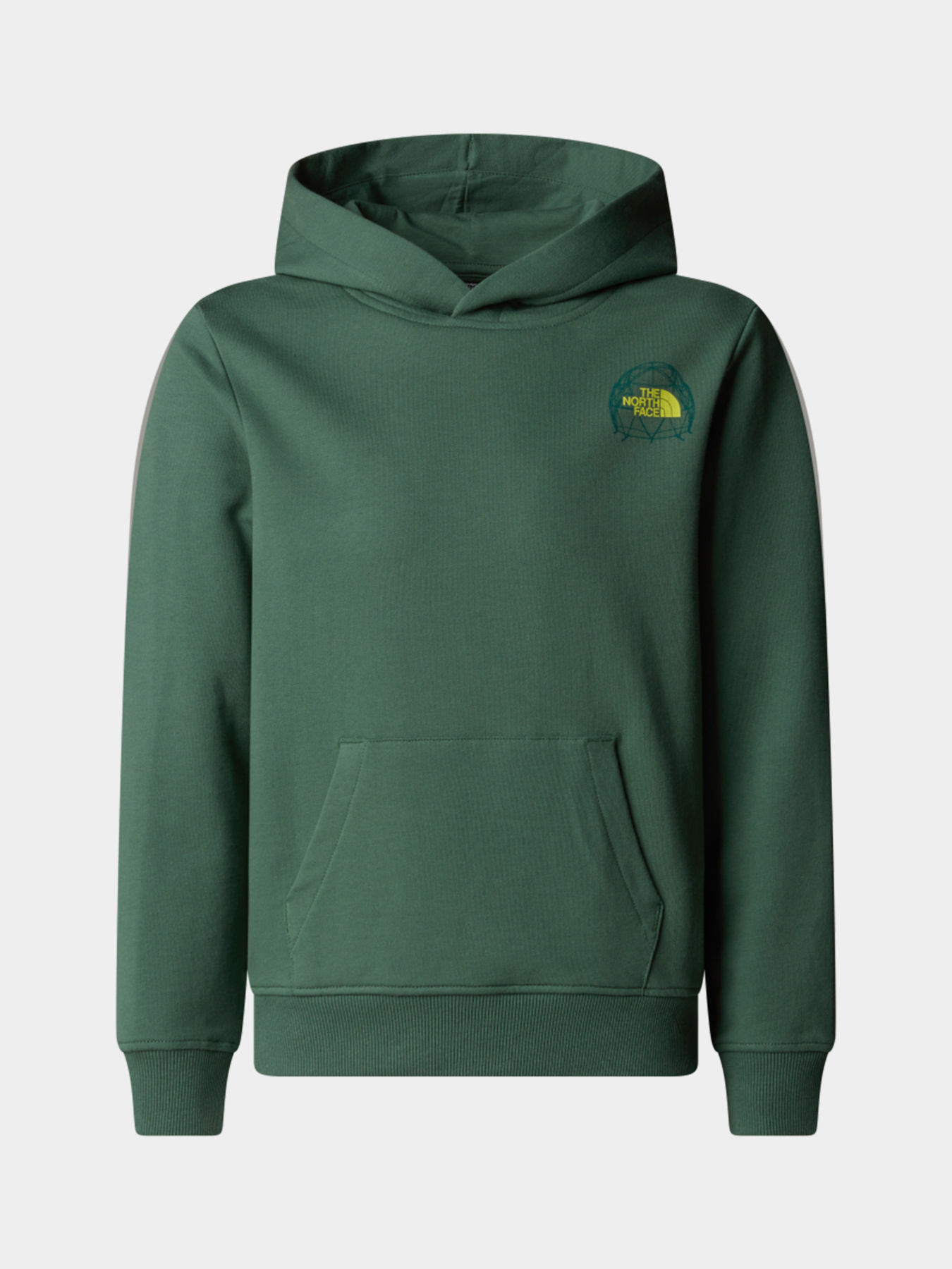 Худи и свитшоты The North Face модель NF0A8AXTHCH1 Фото