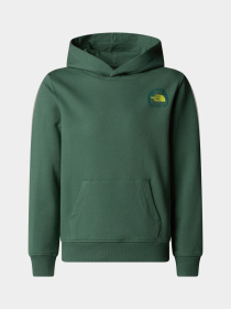 Худи и свитшоты The North Face модель NF0A8AXTHCH1 Фото