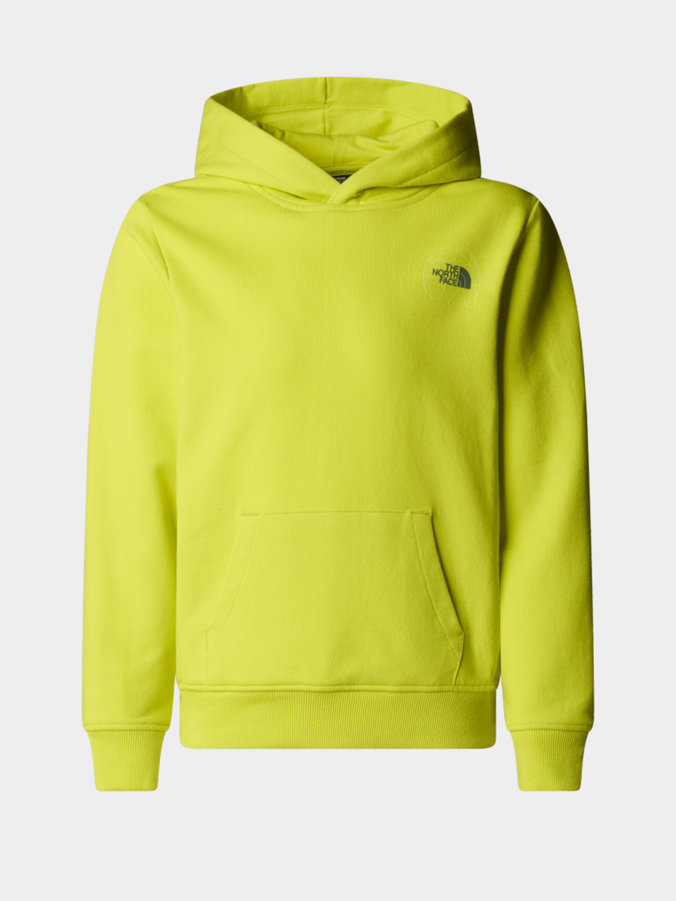 Худи и свитшоты The North Face модель NF0A8AXTJE31 Фото