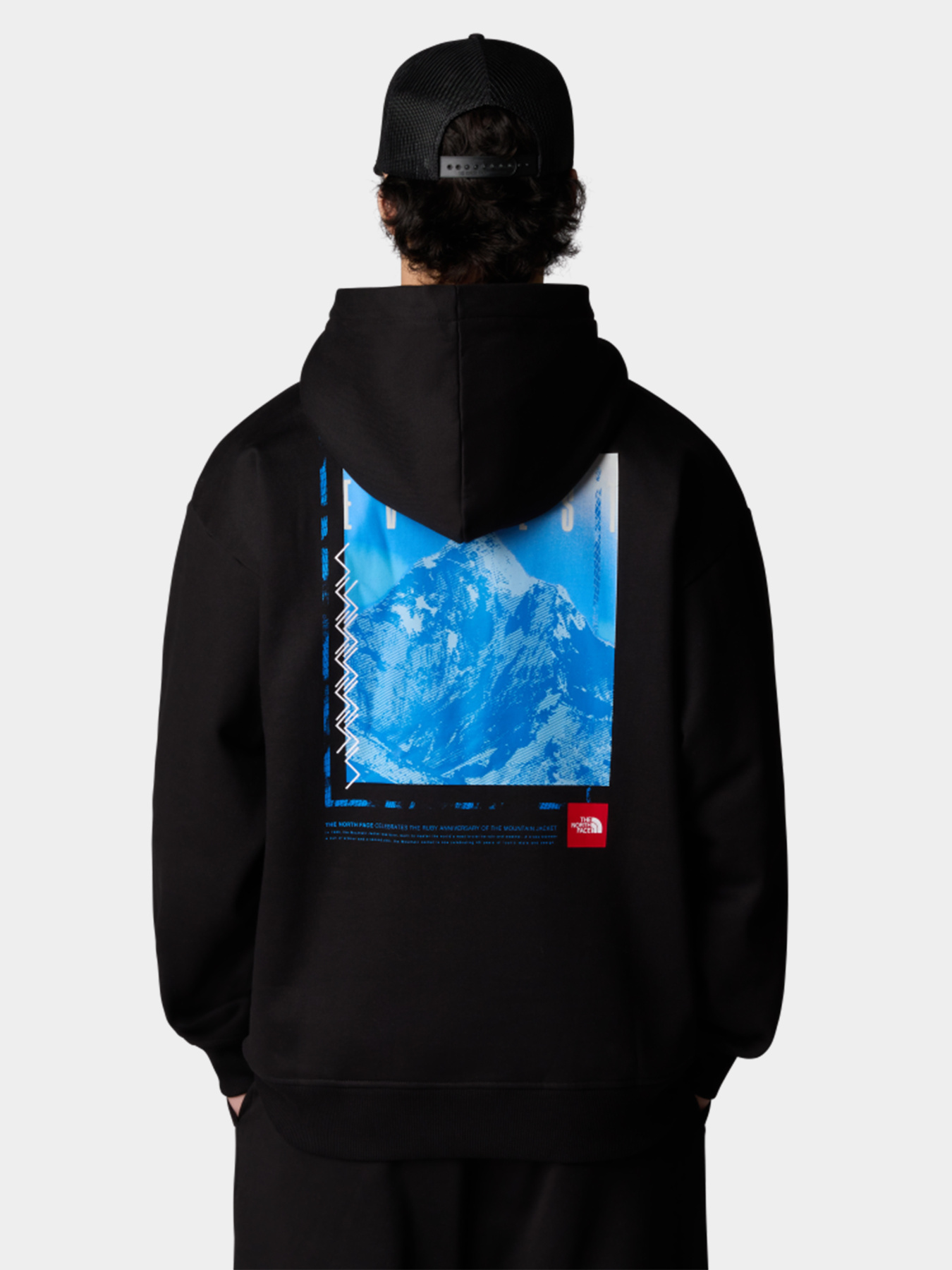 Худи и свитшоты The North Face модель NF0A8C1QJK31 Фото