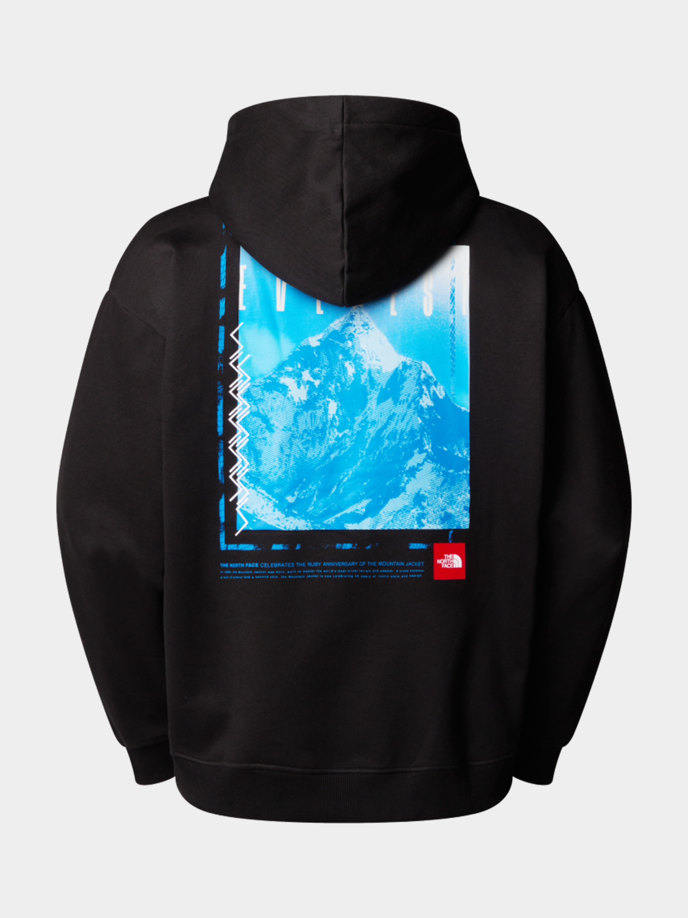Худи и свитшоты The North Face модель NF0A8C1QJK31 Фото