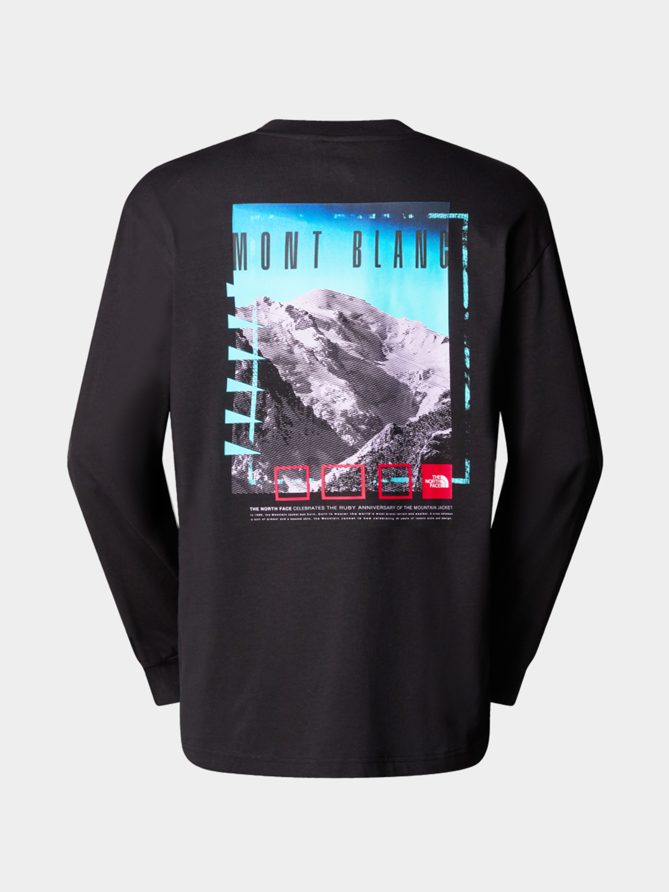 Худи и свитшоты The North Face модель NF0A8C1TJK31 Фото