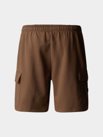 Шорты The North Face модель NF0A8C2Z1OI1 Фото