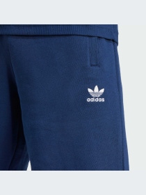 Шорты Adidas модель IY8521-KZ Фото