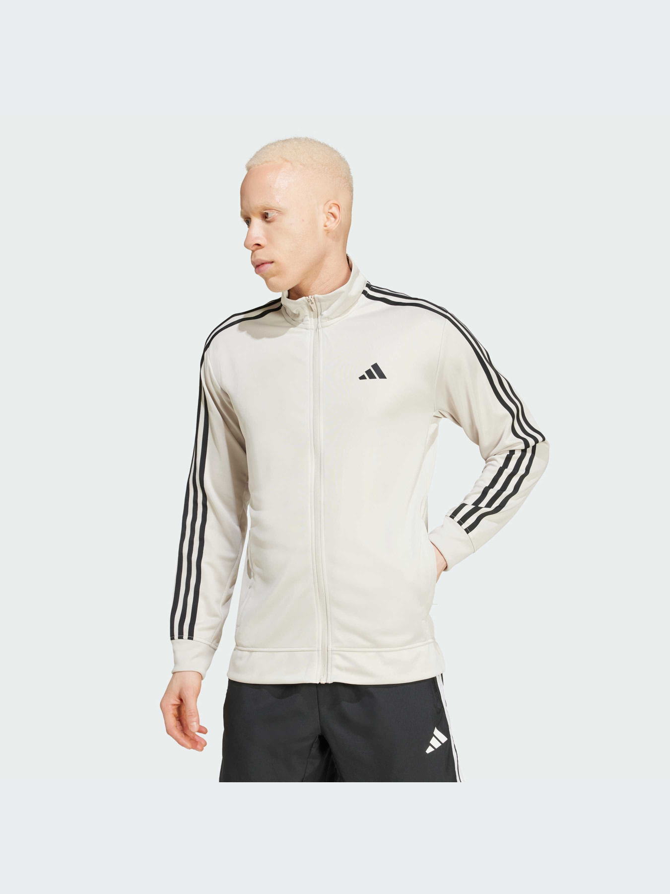 Худи и свитшоты Adidas модель JD0165-KZ Фото