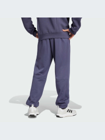 Брюки Adidas модель IW8416-KZ Фото