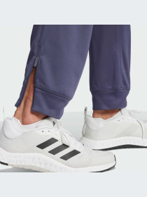 Брюки Adidas модель IW8416-KZ Фото