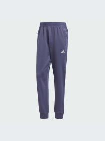 Брюки Adidas модель IW8416-KZ Фото